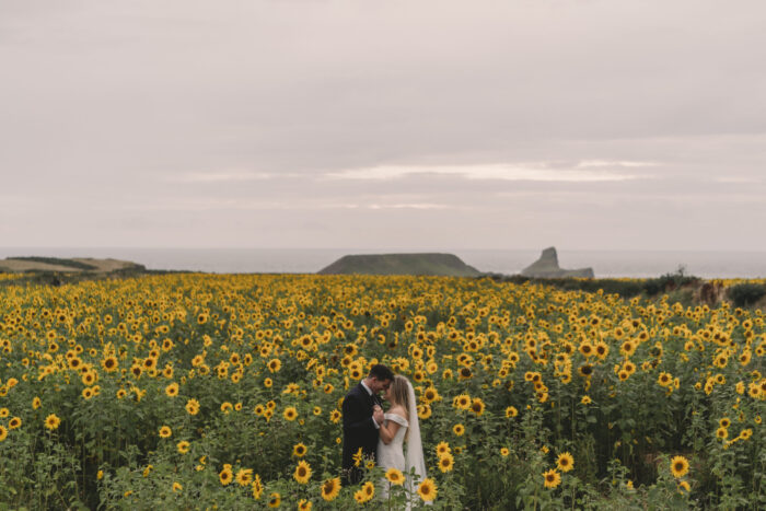 Worms head, a short drive from Oldwalls Gower